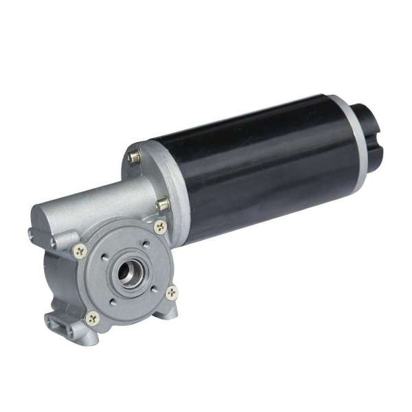 63JW-63ZY127 Hollow Shaft 24V Permanent Magnet Sliding Door DC Worm Gear Motor