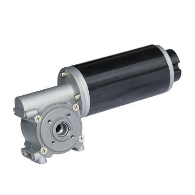 63JW-63ZY127 Hollow Shaft 24V Permanent Magnet Sliding Door DC Worm Gear Motor